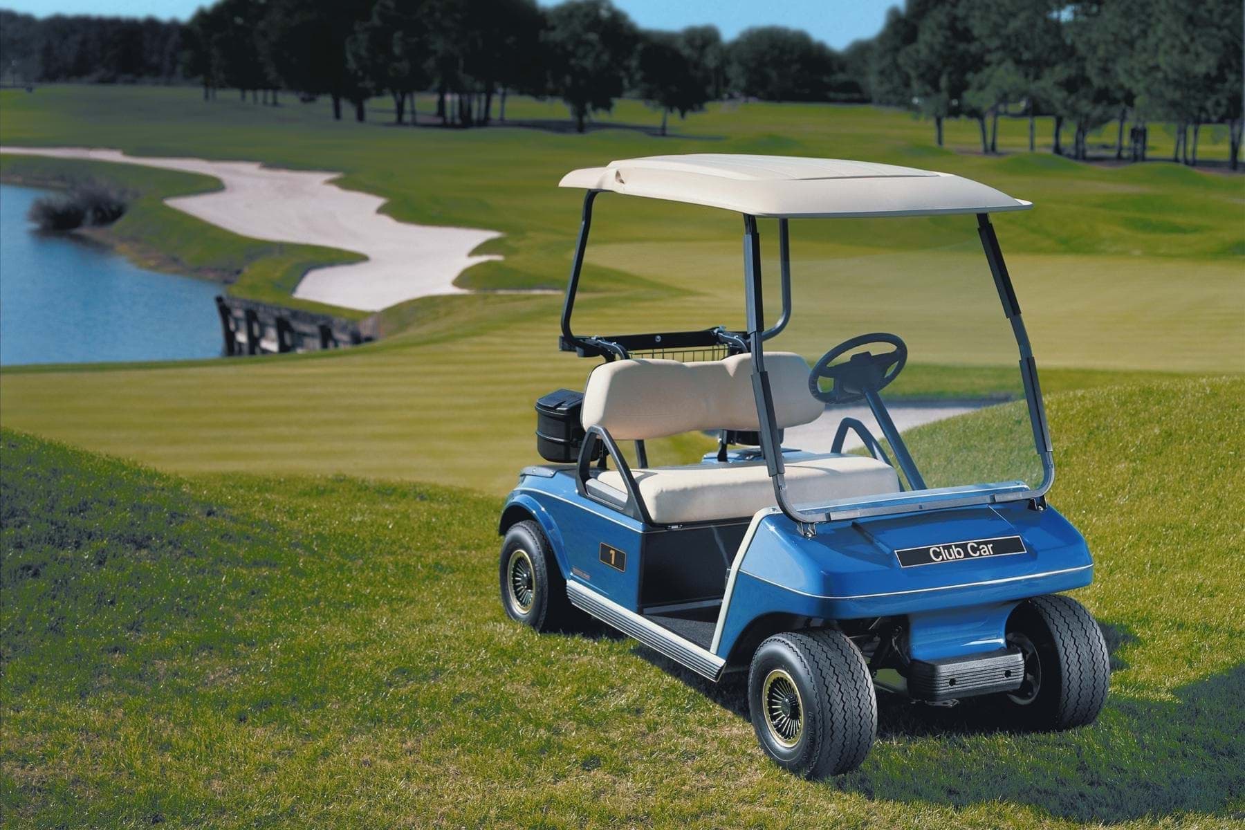 Picture of 2008 - Club Car, DS Golf Car - Gasoline & Electric (103373002)